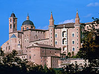 Urbino